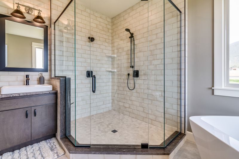 Modern Shower Door