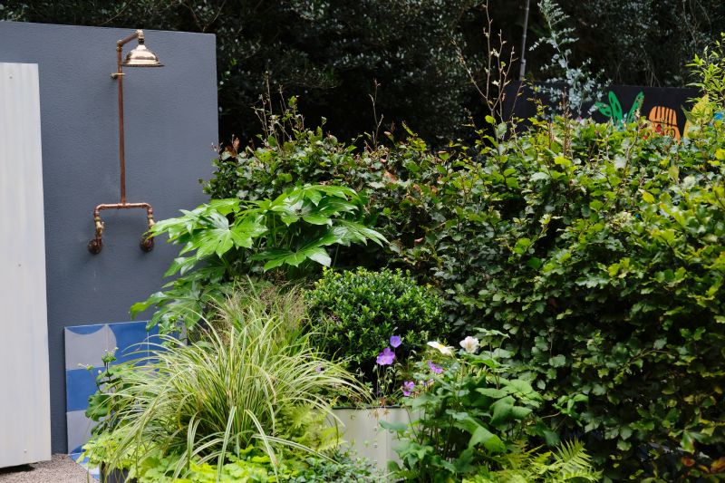 Shower Plumbing Service